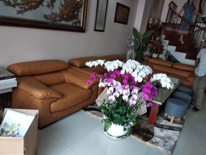 đơn vị thi công bọc ghế sofa chất lượng